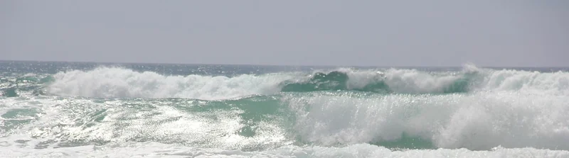 Portugal : le surf et la résilience