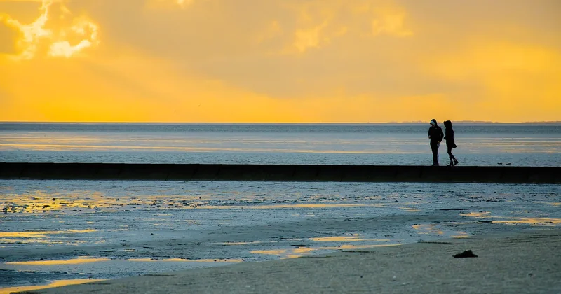 Quand réserver votre escapade nature, et comment éviter les pièges tarifaires