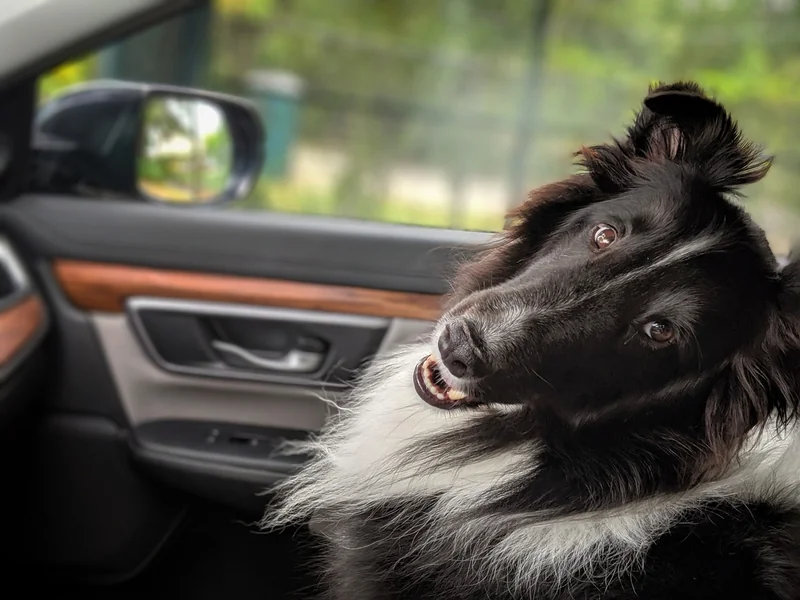 Le vrai bilan : ce que j’ai appris après 5 road trips