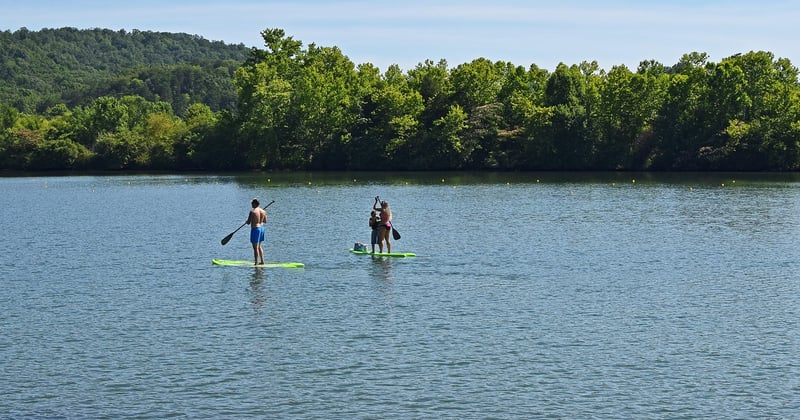 Guide des activités nautiques pour une aventure en famille réussie